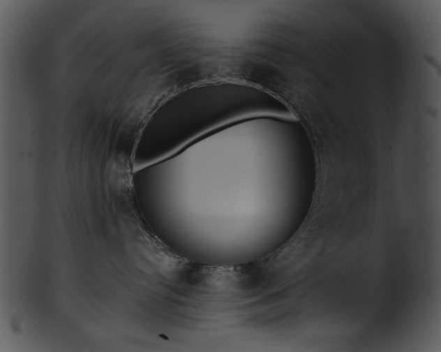 X0000101450384200807141249