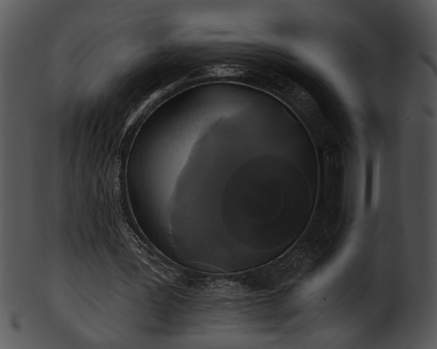 X0000101450387200807141249