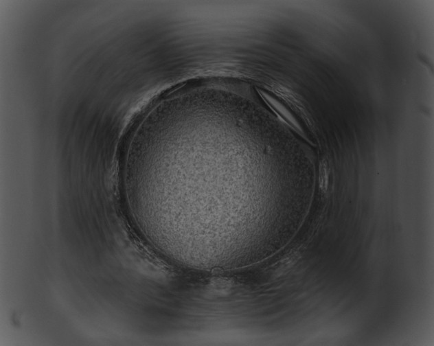 X0000101450388200807141249