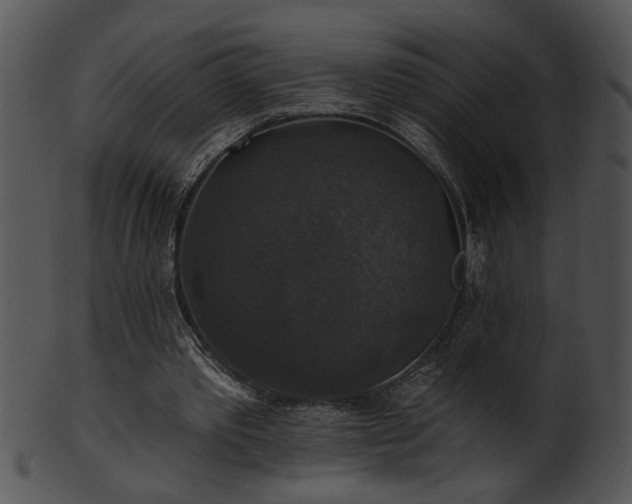 X0000101450389200807141248