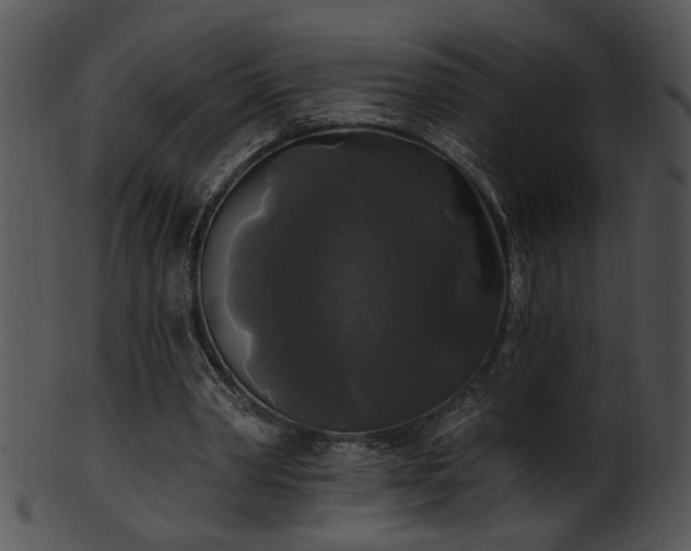 X0000101450390200807141248