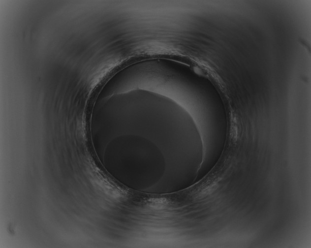 X0000101450391200807141248