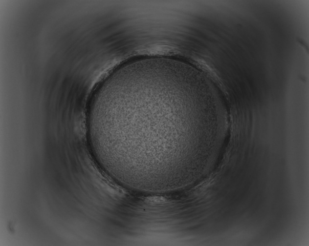 X0000101450392200807141248