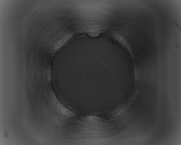 X0000101450393200807141248