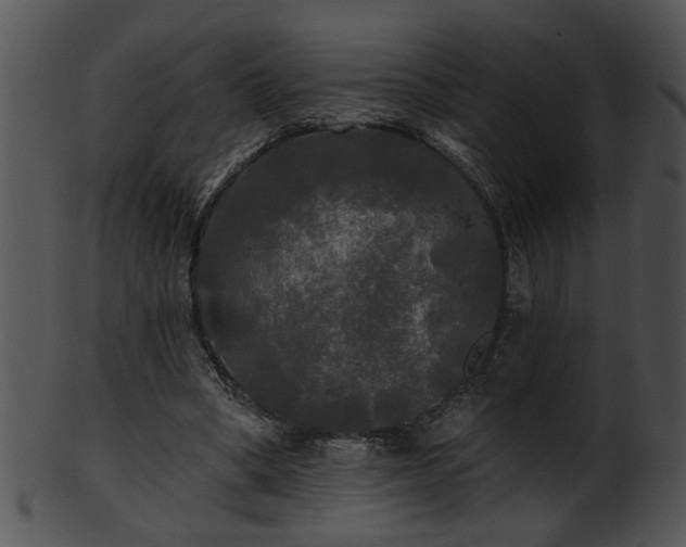 X0000101450394200807141248