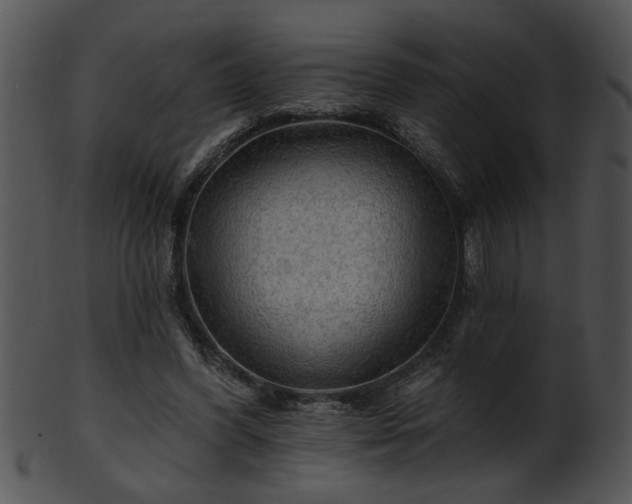 X0000101450396200807141248