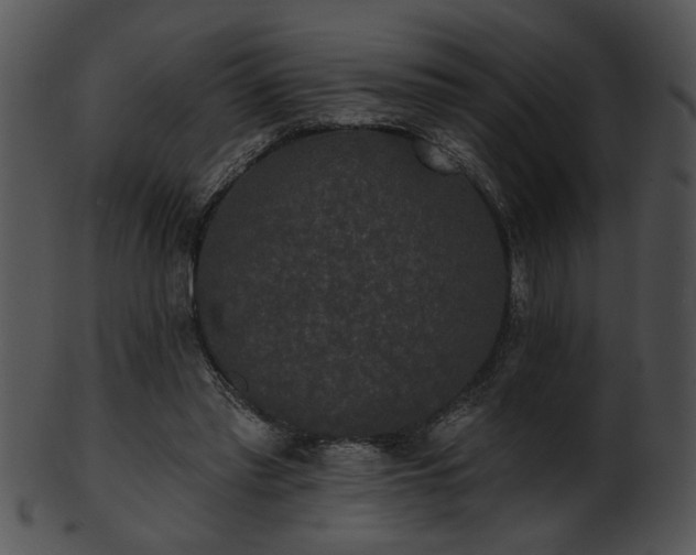 X0000101450397200807141248