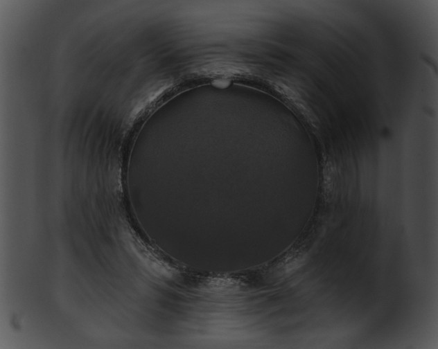 X0000101450399200807141248