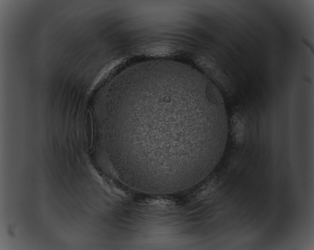 X0000101450400200807141248