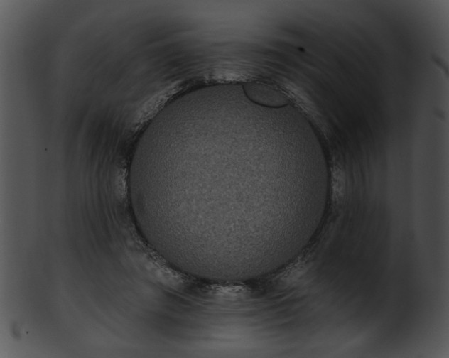 X0000101450401200807141248