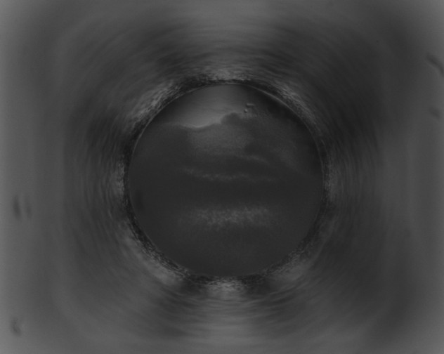 X0000101450402200807141248