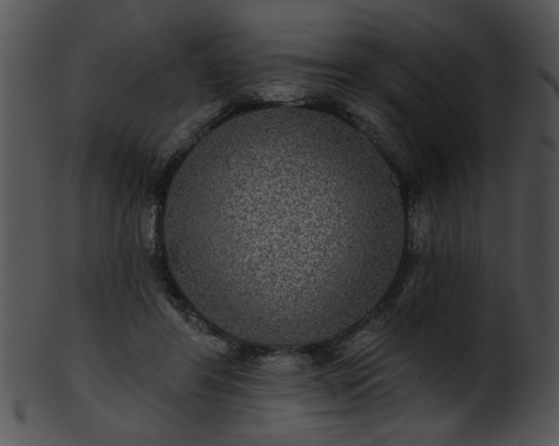 X0000101450404200807141248