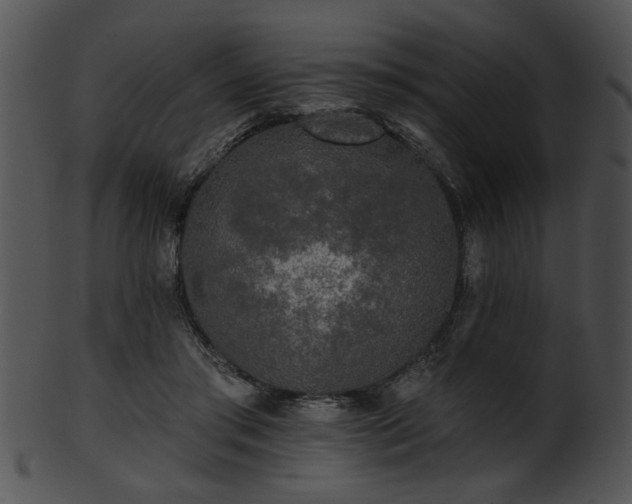 X0000101450405200807141248