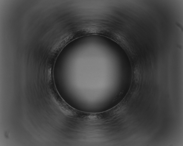 X0000101450406200807141248