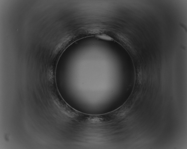 X0000101450407200807141248