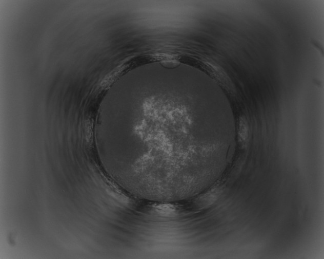 X0000101450409200807141248