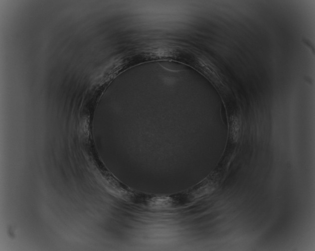 X0000101450410200807141248