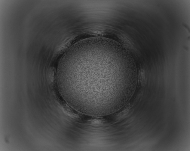 X0000101450412200807141248