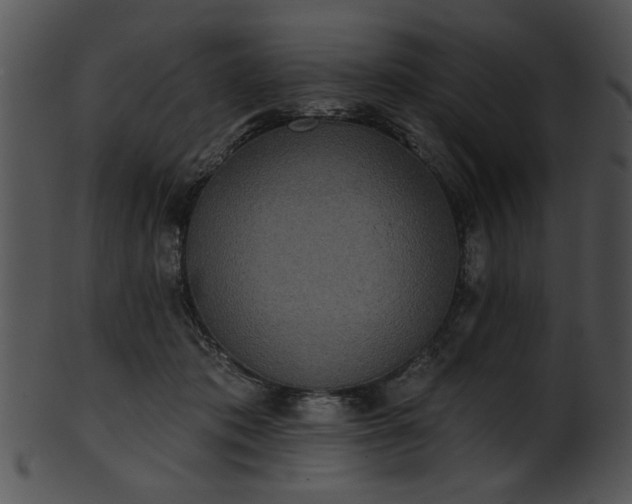 X0000101450413200807141248