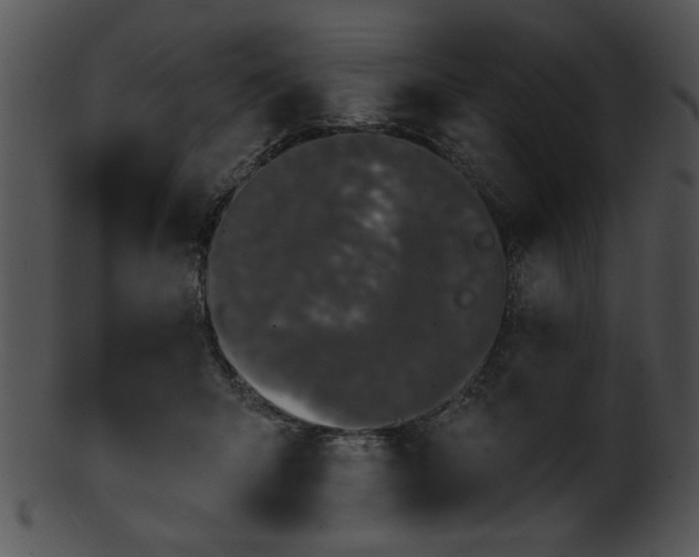 X0000101450415200807141248