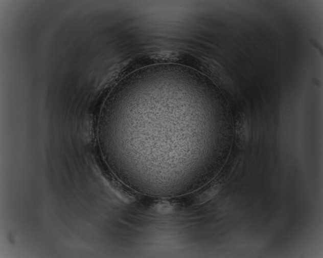 X0000101450416200807141248