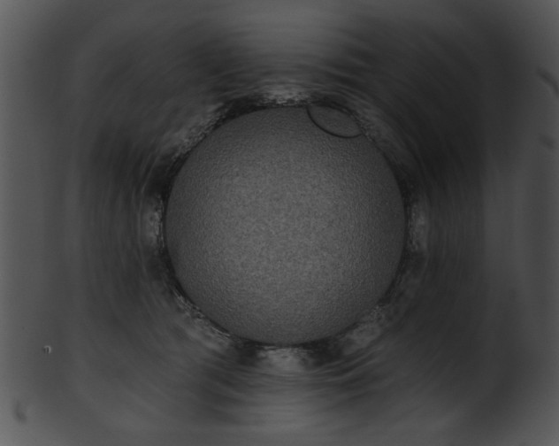 X0000101450417200807141248