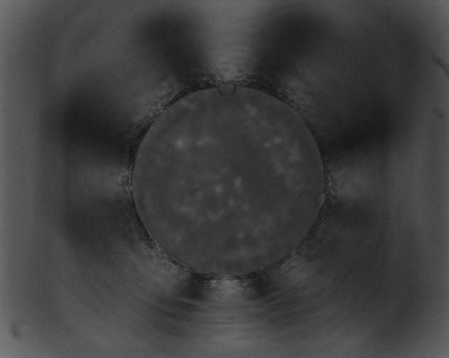 X0000101450419200807141248