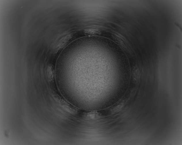 X0000101450420200807141248