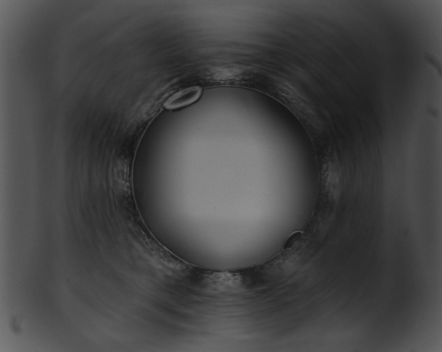 X0000101450421200807141248