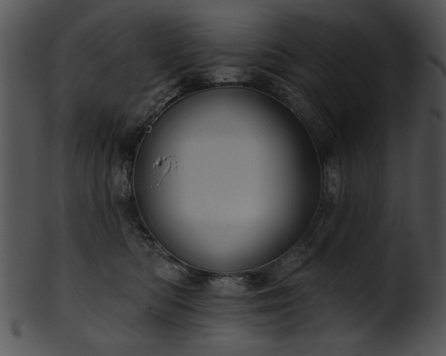 X0000101450422200807141248