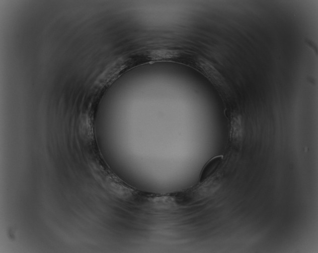 X0000101450426200807141248