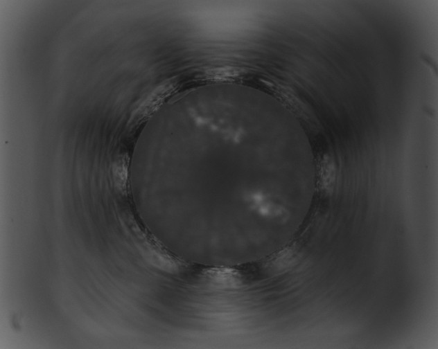 X0000101450427200807141248