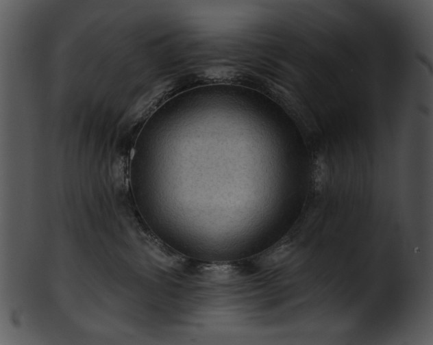 X0000101450428200807141248