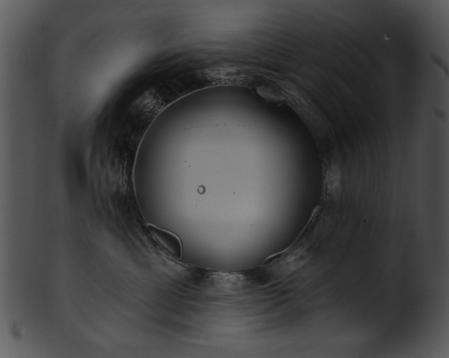 X0000101450429200807141248