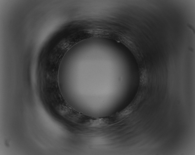 X0000101450430200807141248