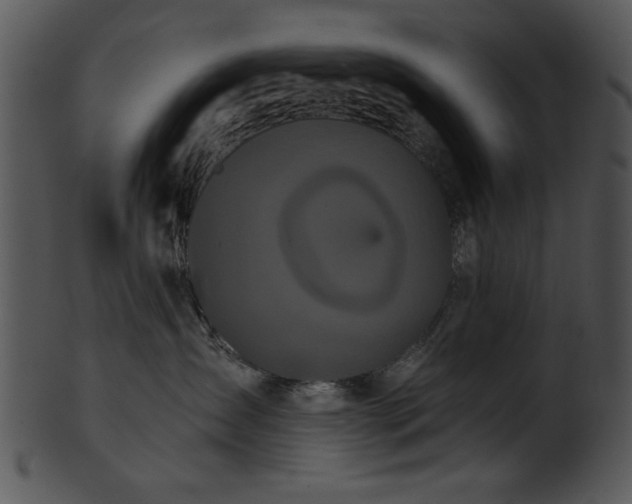 X0000101450431200807141248