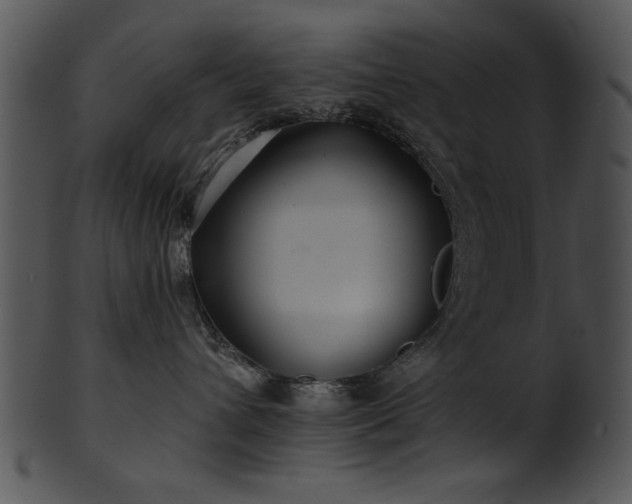 X0000101450432200807141248