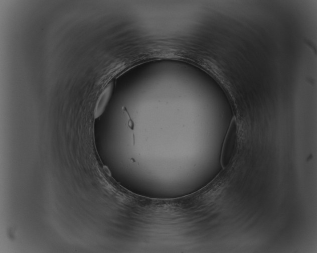 X0000101450433200807141247