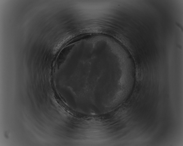 X0000101450434200807141247