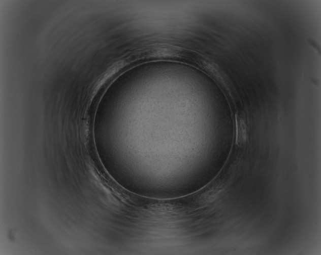 X0000101450435200807141247