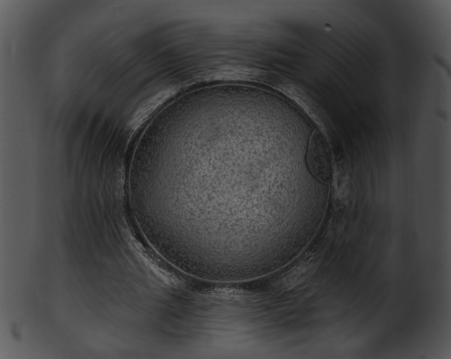 X0000101450437200807141247