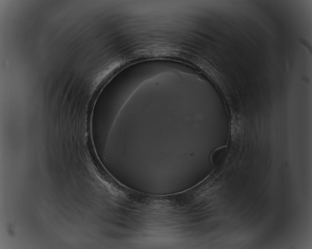 X0000101450438200807141247