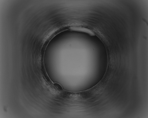 X0000101450440200807141247