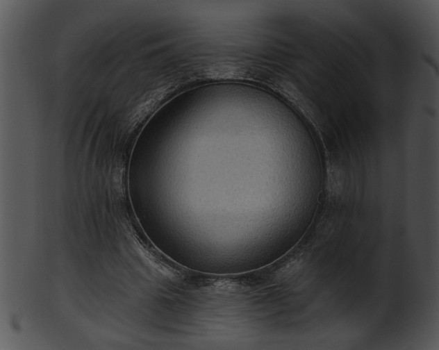 X0000101450441200807141247