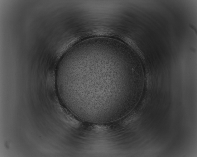 X0000101450442200807141247