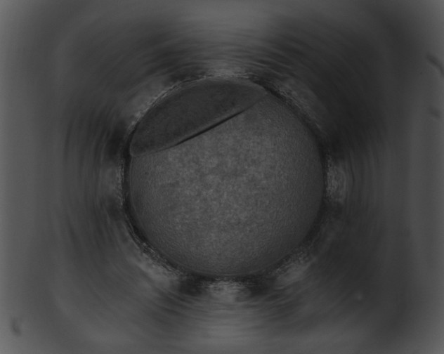 X0000101450444200807141247