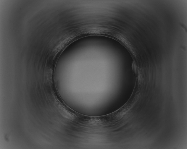 X0000101450445200807141247