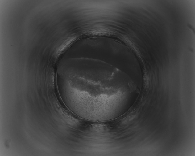 X0000101450446200807141247