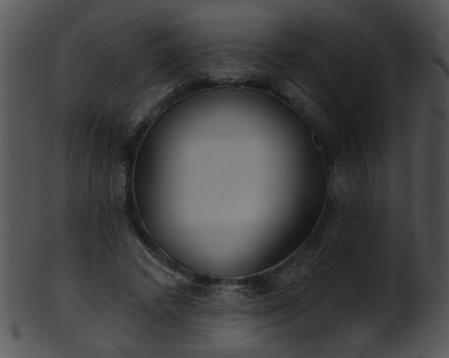 X0000101450448200807141247