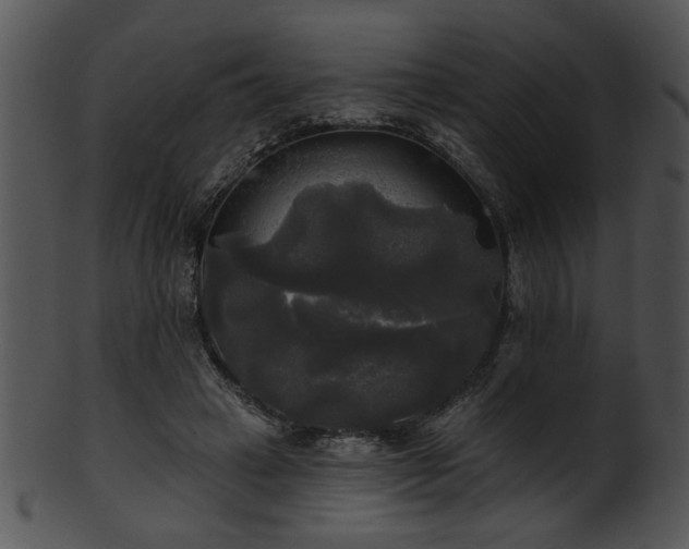 X0000101450449200807141247